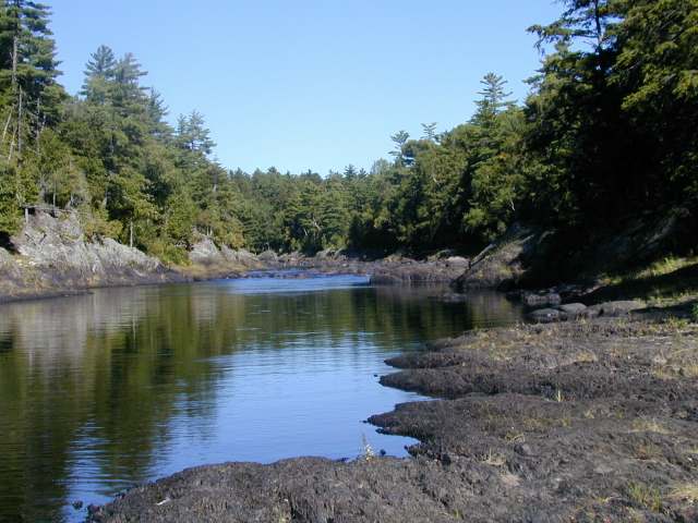 Images/Mattawamkeag river below falls area.jpg